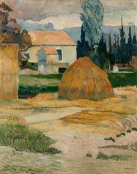 Paisaje cerca de Arles